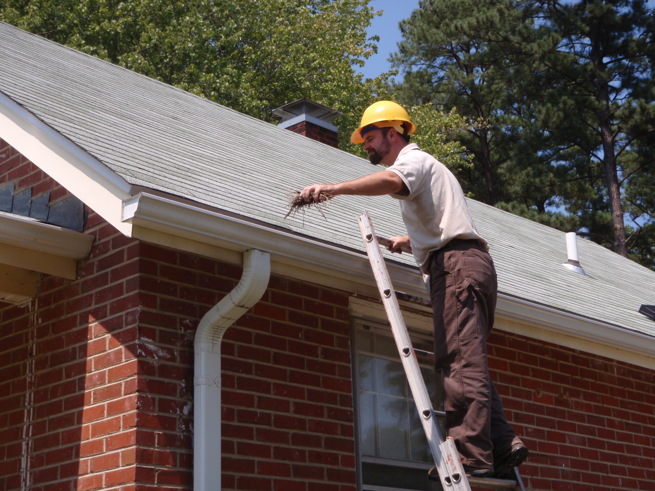Worker on a ladder clearing the eavestrough of a one-storey brick house with a grey shingle roof