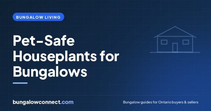 Pet-Safe Houseplants for Your Bungalow: What to Grow and What to Skip – BungalowConnect.com