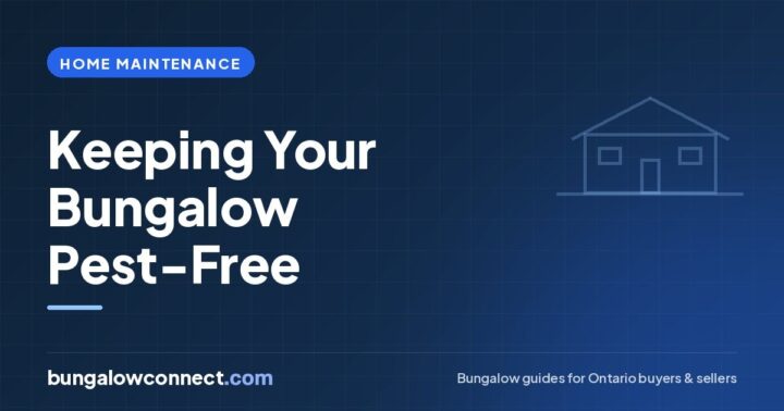 Bungalow Pest Control: How to Keep Mice, Ants and Wildlife Out – BungalowConnect.com